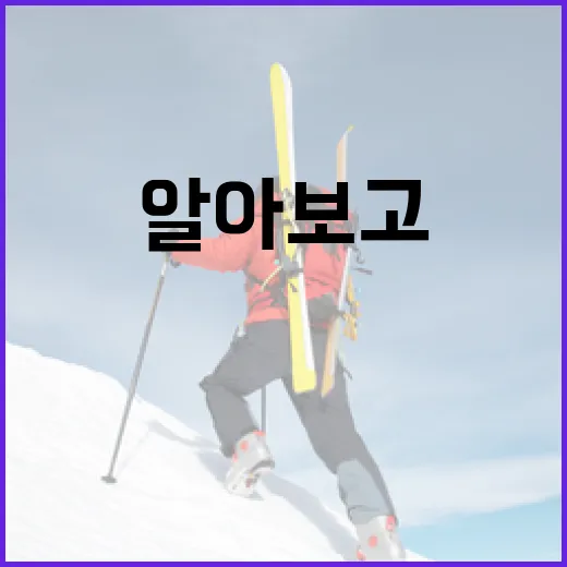 WBC에 대해 알아보고 건강하게 활용하는 방법 - 요약