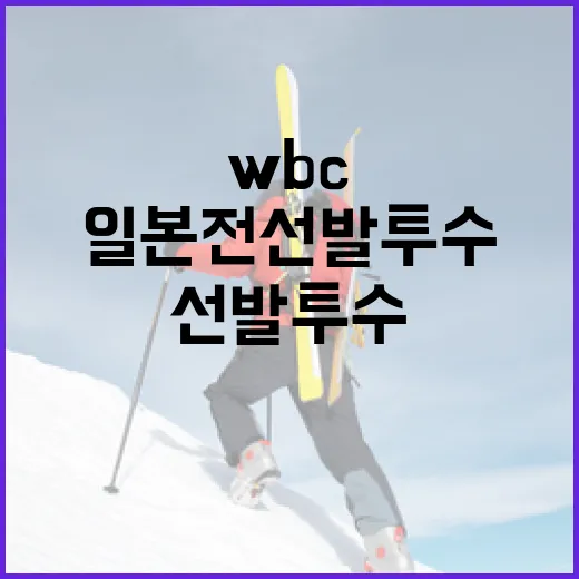 WBC 일본전 선발 투수 준비하는 방법 - 요약