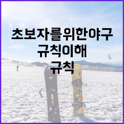 초보자를 위한 야구 규칙 이해하기 - 요약