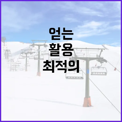 위트컴을 활용하여 최적의 결과를 얻는 방법 - 요약