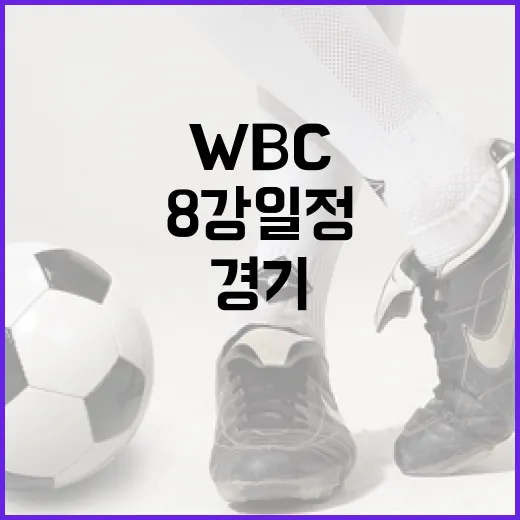 WBC 8강 일정을 알아보고 경기 관람 준비하기 - 요약