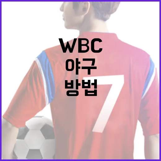 WBC 세계 야구 클래식을 즐기는 방법 - 요약