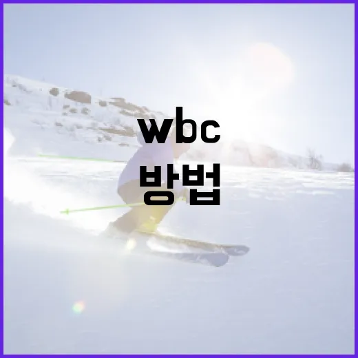 WBC를 이해하고 활용하는 방법 - 요약