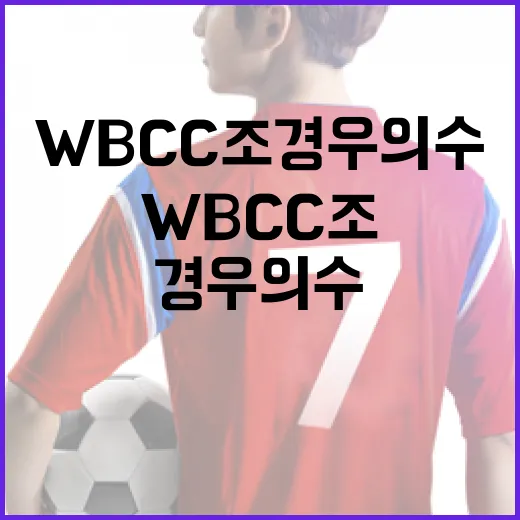 WBC C조 경우의 수 이해하는 방법 - 요약