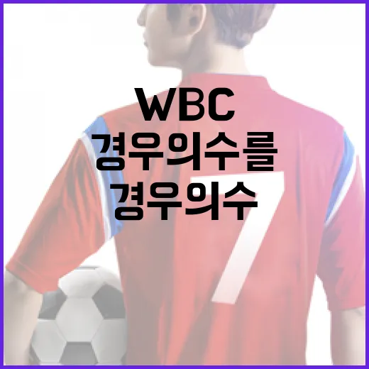 WBC 경우의 수를 이해하는 방법 - 요약