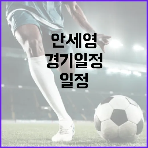 안세영 경기일정을 효율적으로 확인하는 방법 - 요약