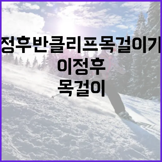이정후 반클리프 목걸이 가격 알아보는 방법 - 요약
