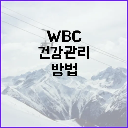 WBC를 이해하고 건강 관리에 활용하는 방법 - 요약