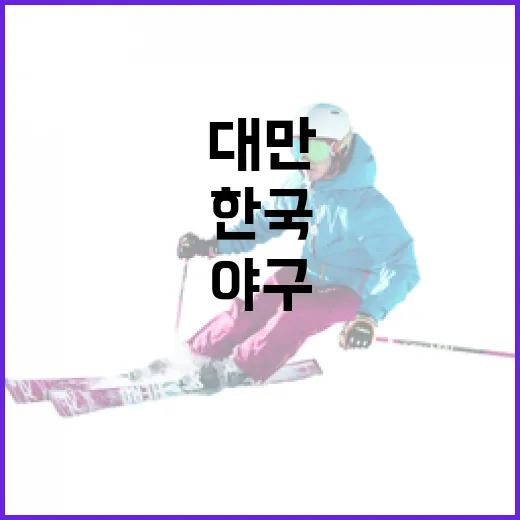 한국과 대만 야구를 즐기는 방법 - 요약