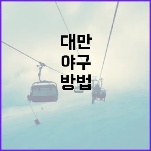 한국과 대만 야구의 차이점을 이해하는 방법 - 요약