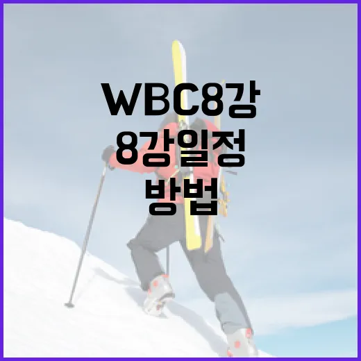 WBC 8강 일정을 파악하는 방법 - 요약