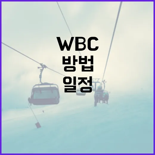 WBC 일정을 쉽게 확인하는 방법 - 요약