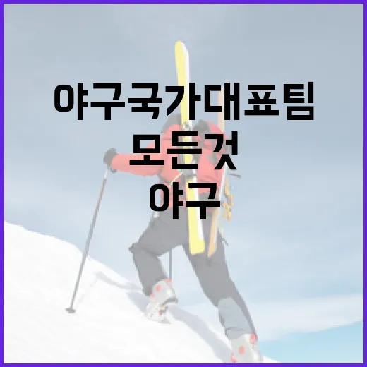 야구 국가대표팀에 대해 알아야 할 모든 것 - 요약