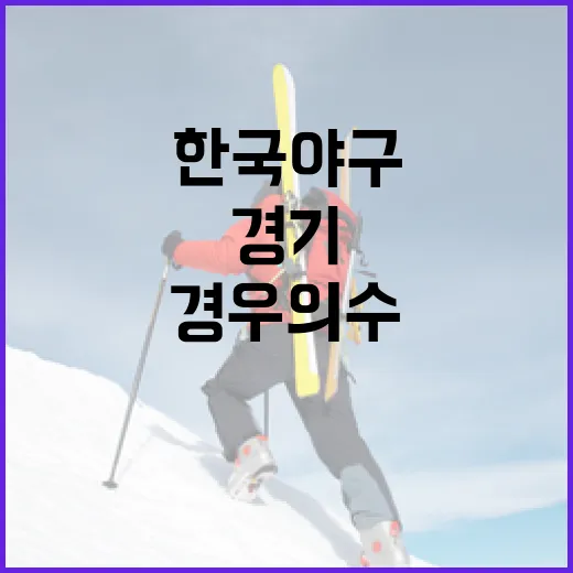 한국 야구 경기에서 경우의 수를 이해하는 방법 - 요약