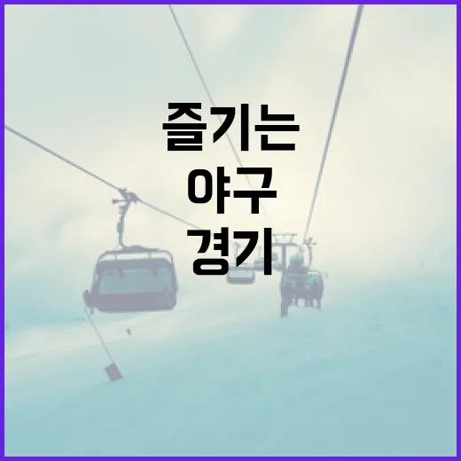 야구 경기를 완벽히 즐기는 방법 - 요약