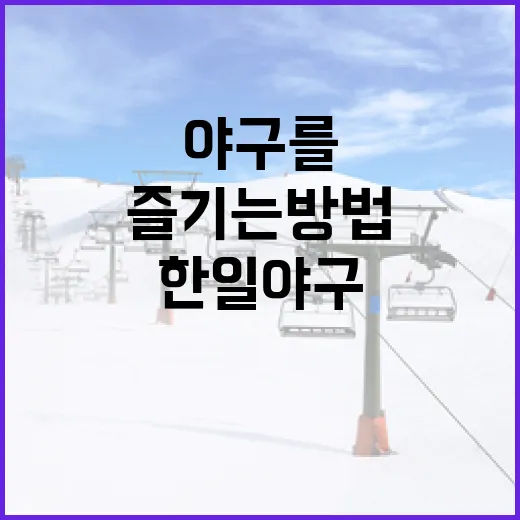 한일 야구를 이해하고 즐기는 방법 - 요약