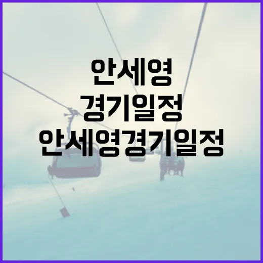 안세영 경기일정 확인하는 방법 - 요약