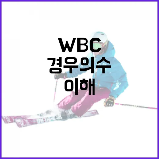 WBC 경우의 수 이해하는 방법 - 요약
