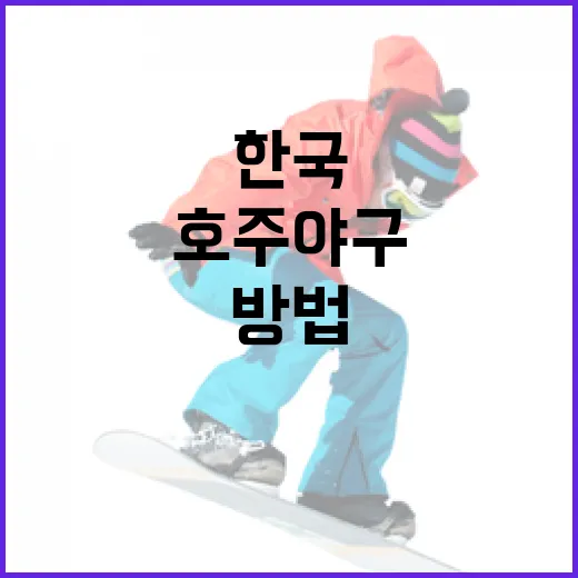 한국과 호주 야구를 즐기는 방법 - 요약