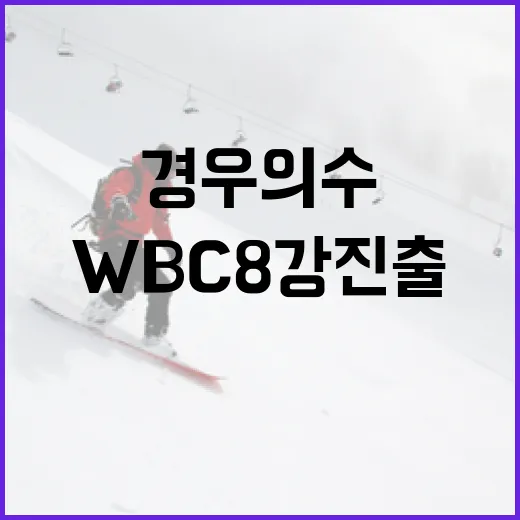 WBC 8강 진출 경우의 수 알아보기 - 요약