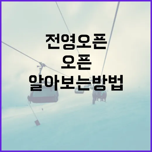 전영오픈에 대해 알아보는 방법 - 요약