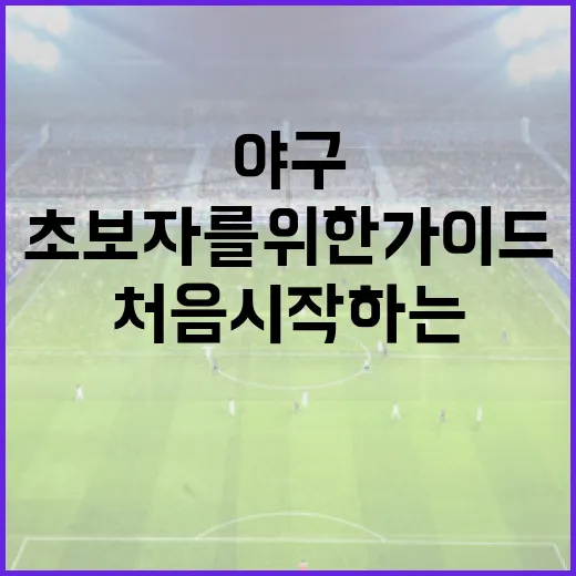 처음 시작하는 야구: 초보자를 위한 가이드 - 요약