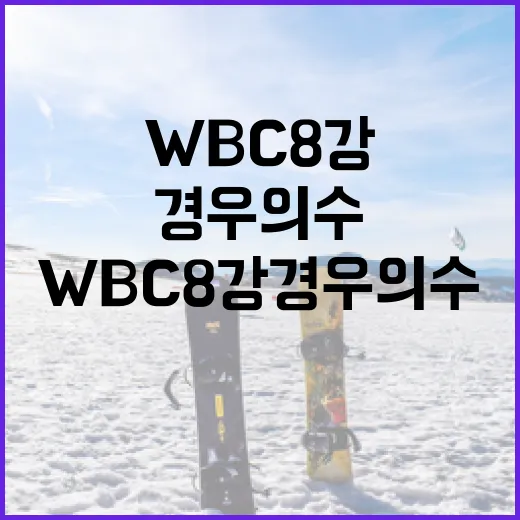 WBC 8강 경우의 수 이해하는 방법 - 요약