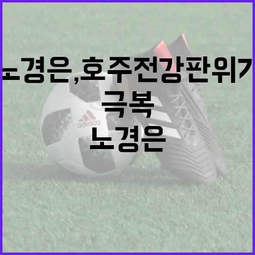 노경은, 호주전 강판 위기를 극복하려면 이렇게 - 요약