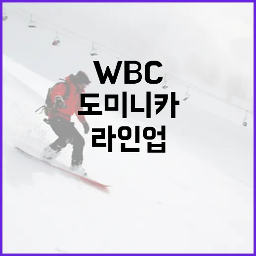 도미니카 WBC 라인업을 이해하는 방법 - 요약