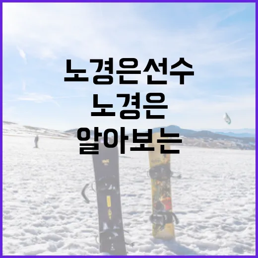 노경은 선수에 대해 알아보는 방법 - 요약