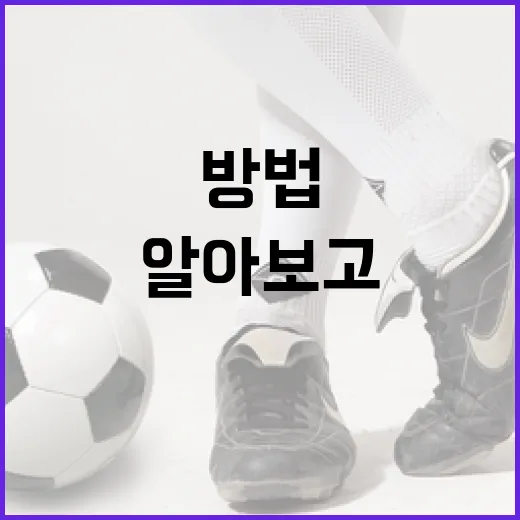 WBC에 대해 알아보고 효율적으로 참여하는 방법 - 요약