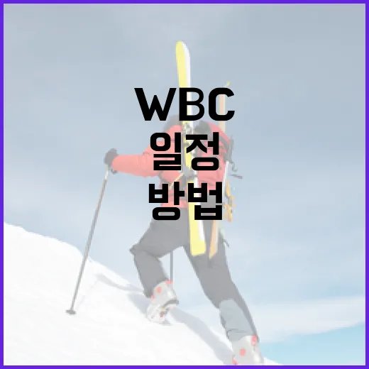 WBC 일정을 쉽게 알아보는 방법 - 요약