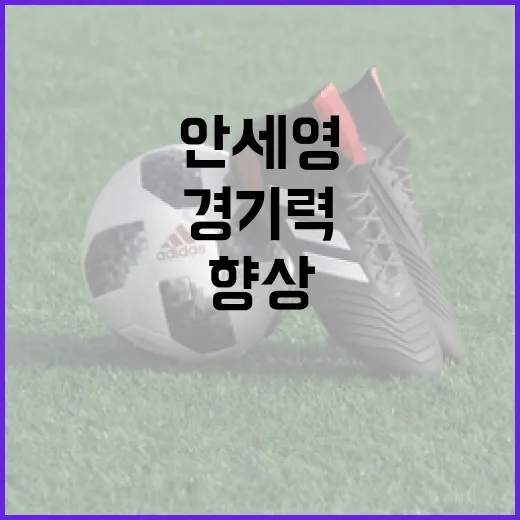 안세영의 경기력을 향상시키는 방법 - 요약