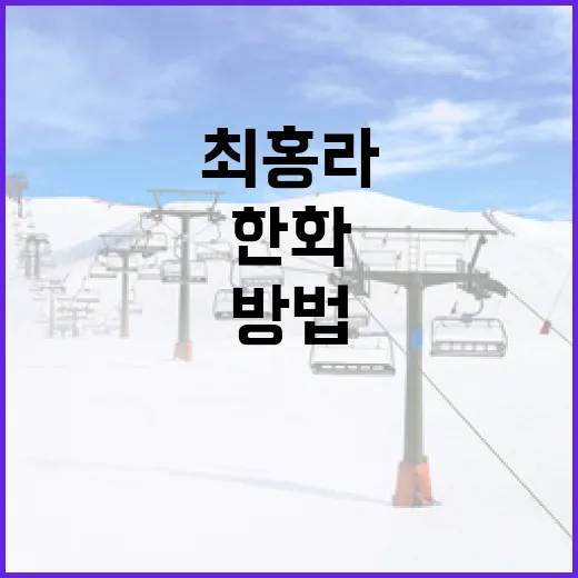 최홍라 한화 관련 정보를 이해하는 방법 - 요약