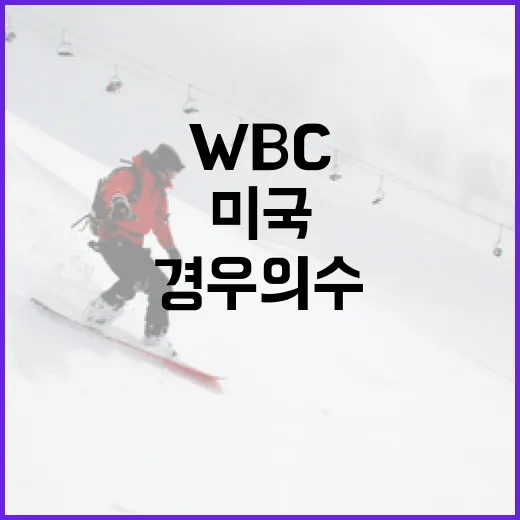 WBC 미국을 위한 경우의 수를 이해하는 방법 - 요약