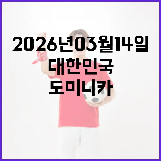 2026년 03월 14일, 대한민국에서 도미니카 공화국으로 여행 준비하는 방법 - 요약