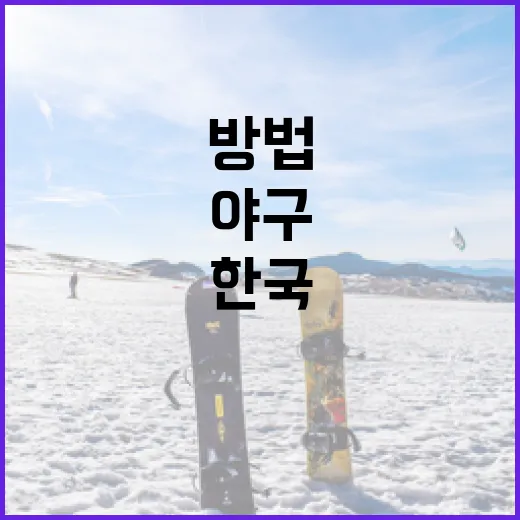 한국과 호주의 야구: 매력과 차이점을 이해하는 방법 - 요약