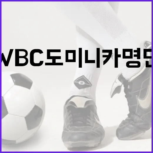 WBC 도미니카 명단을 이해하는 방법 - 요약