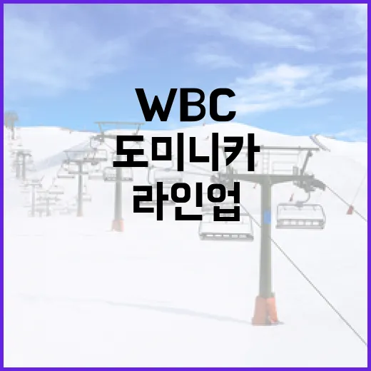 도미니카 WBC 라인업을 이해하는 방법 - 요약