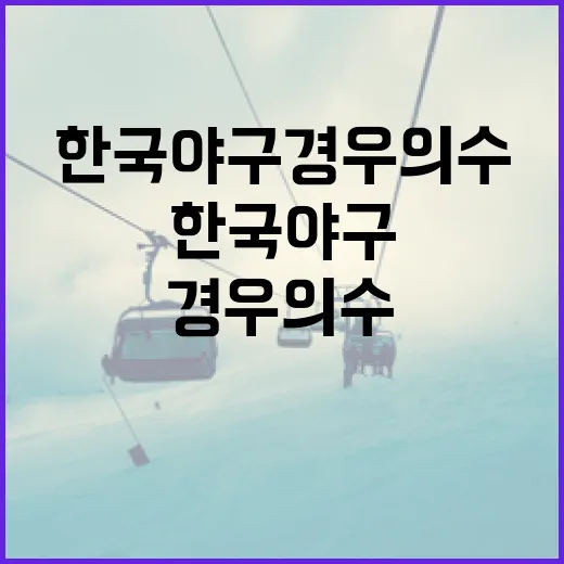 한국야구 경우의 수 이해하는 방법 - 요약