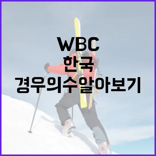 한국 WBC 경우의 수 알아보기 - 요약