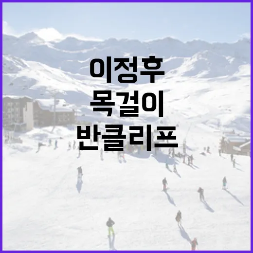 이정후 반클리프 목걸이의 가격 반전과 구매 요령 - 요약