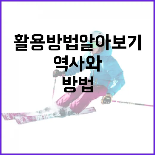 오브라이언의 역사와 활용 방법 알아보기 - 요약