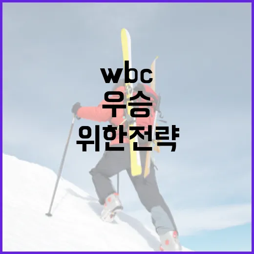 미국 WBC 우승 가능성을 높이기 위한 전략 - 요약