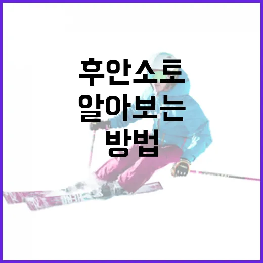 후안 소토의 연봉을 알아보는 방법 - 요약