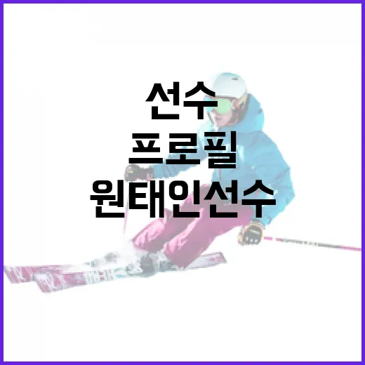 원태인 선수를 이해하는 방법: 프로필과 성과 분석 - 요약