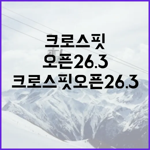 크로스핏 오픈 26.3 준비하는 방법 - 요약