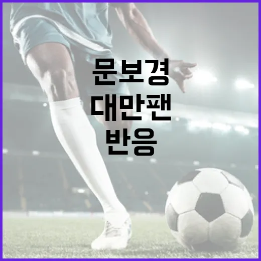 문보경 대만 팬 반응 논란을 이해하는 방법 - 요약