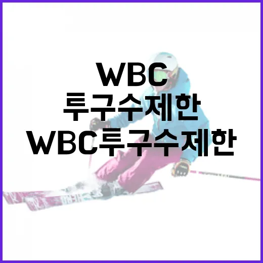 WBC 투구수 제한을 이해하고 효과적으로 활용하는 방법 - 요약