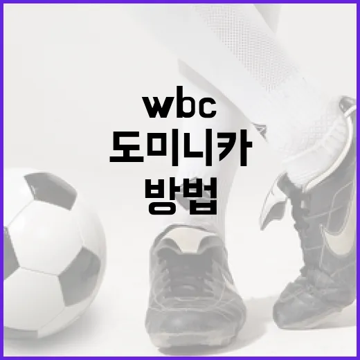 도미니카 WBC 라인업을 이해하고 따라잡는 방법 - 요약